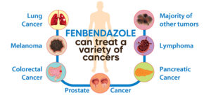 Lees meer over het artikel Fenbendazol voor mensen, een medicijn tegen wormen dat ook kanker bestrijdt