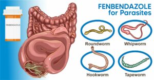 Read more about the article Fenbendazole for human parasites
