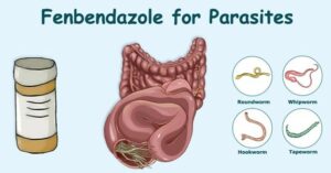 Lee más sobre el artículo Fenbendazol para parásitos humanos