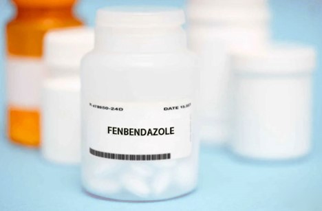 fenbendazole kills what worms