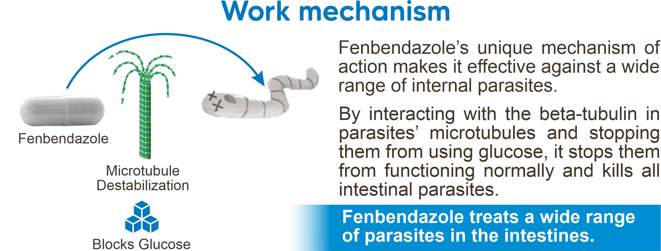 how does fenbendazole for parasites work