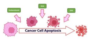 Lees meer over het artikel Toevallige ontdekkingen tot oncologische doorbraken: Vooruitgang in metabolische behandeling