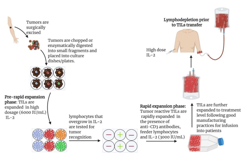 immunotherapy and fenbendazole and dca and 2dg