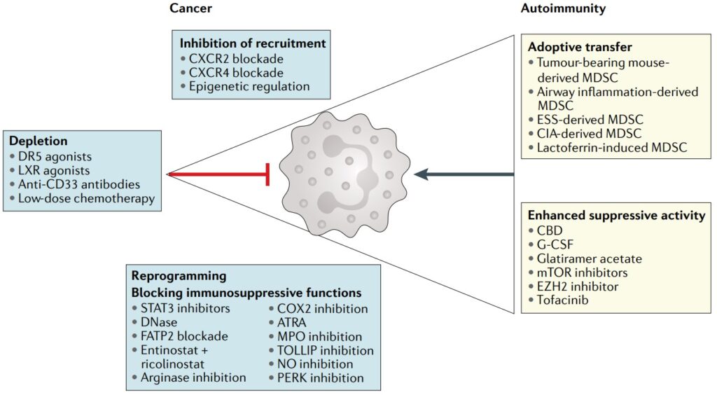 radiotherapy and 2 deoxy d glucose